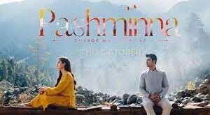 Pashminna is a Sony Liv Hindi Serial.
